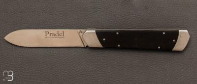 Pradel 14C28N and ebony folding knife by Fontenille-Pataud