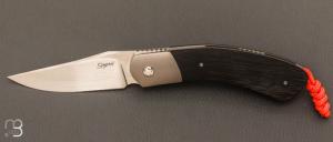 Custom “New model” knife by Stéphane Sagric - Micarta and RWL34 blade