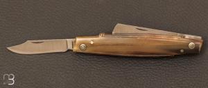 Couteau de poche " Palmerino " 2 lames par Consigli 