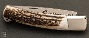 Couteau de poche régional le Montoncel en bois de cerf et lame poli miroir