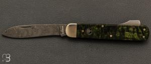  Couteau Bker Sollingen - Hunters Knife Mono Damascus Curly Birch Green