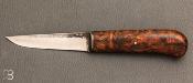 Chestnut burl "F" fixed knife by Frdric Maschio