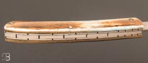 Couteau  "  Pastellier " par Thomas Fronteau - ivoire de mammouth et lame en damasteel