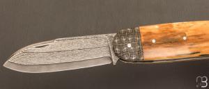   Couteau " Bulldog " mammouth et damas par Thomas Chovin