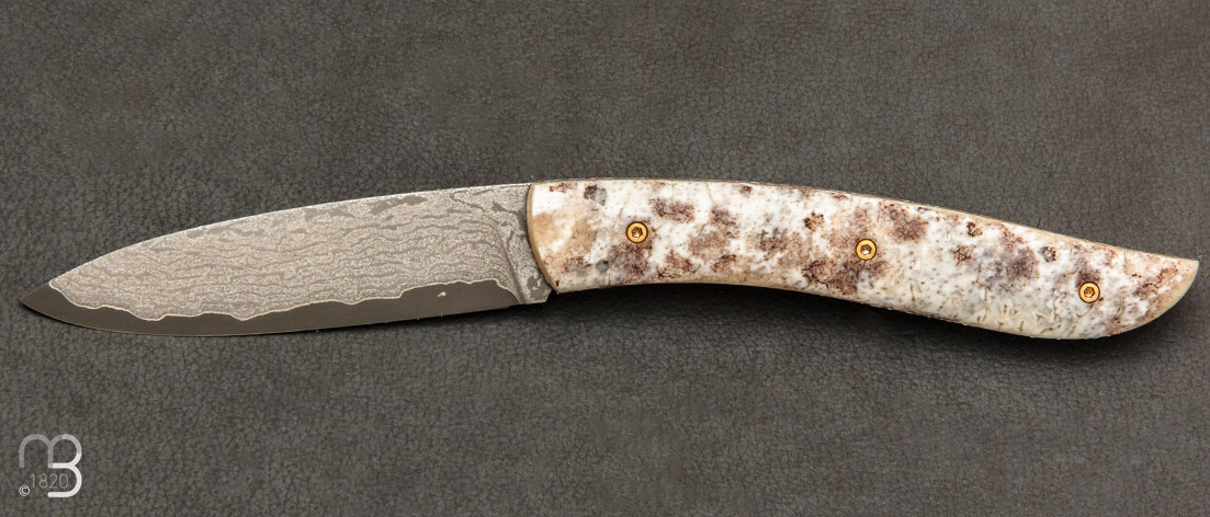 Couteau le Névé - Os de morse fossile et VG10 par Tim Bernard