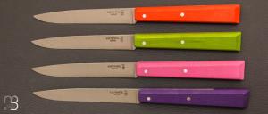 Set 4 Opinel table knives Spirit Pop