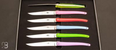 Coffret de 6 couteaux de table Laguiole par J. -M. Wilmotte