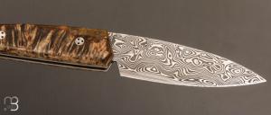   Couteau " Ariégeois " par la Coutellerie Savignac - Loupe d'érable stabilisée et Damasteel