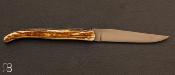 Couteau "Laguiole" custom de Jérôme Latreille - Croûte de mammouth