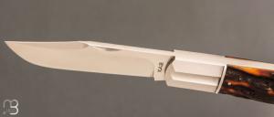    Couteau " Lanny's clip " de Ken Steigerwalt - Amber Stag et RWL34