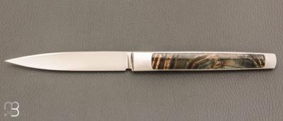    Couteau " Slipjoint " custom de Lionel Lalague - Mammouth et lame en RWL34