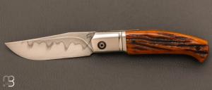 Couteau " Swan Regular  " Stag amber et C130 Hamon de Jiminy Claustrat - L'me du Cygne