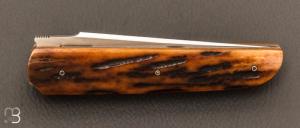 Couteau " light " pliant liner-lock par Thierry Chevron - Amber stag et RWL-34