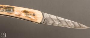 Couteau " custom " de Alain & Joris Chomilier - Ivoire de mammouth et Damasteel