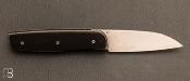 Couteau custom pliant par David Lespect - Ébène facettes et RWL-34