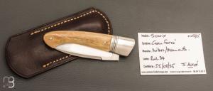     Couteau " Sonix " custom par Frédéric Augé - Mammouth et RWL34