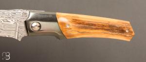   Couteau " Krypto  " de Rémi Lavialle - Lame de Feu - Mammouth et Damasteel