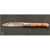 Juniper French Regional folding Sauveterre knife