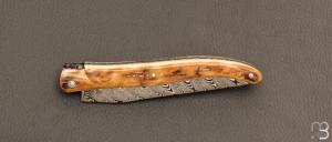    Couteau Laguiole en Aubrac 12 cm manche en ivoire de mammouth et lame en damas de Markus Balbach