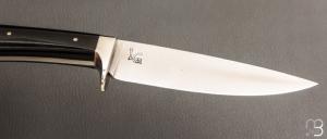  Couteau  fixe par Laurent Gaillard - G10 et 100C6