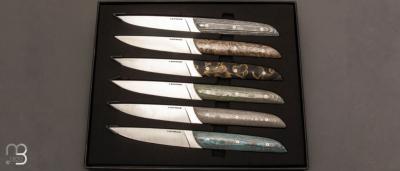 Coffret de 6 couteaux de table Carbone & Co par LEPAGE - Fatcarbon® et 12C27