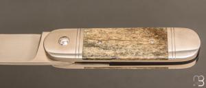 Couteau " Bouledogue " liner-lock de Stéphane Sagric - Os teinté et lame en RWL34