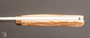   Couteau "Droit custom" par Joël Grandjean - Ivoire de mammouth et RWL34