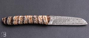   Couteau " L08 " par Atelier Perceval - Molaire de mammouth et lame damas