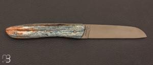 Couteau " L08 " de poche pliant manche os de girafe teinté et stabilisé par Perceval