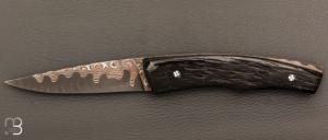   Couteau " Pièce unique " par Alain & Joris Chomilier - Damas carbone de Baker Forge et Corne de Gnou