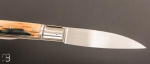   Couteau " Pradel 2 pièces " par Erwann Aubriet - Ivoire de mammouth et 14c28N