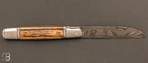 Couteau " Rumilly " par Romain Alvarez - Bois de cerf et lame damas