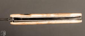 Couteau " custom " de Alain & Joris Chomilier - Ivoire de mammouth et Damasteel