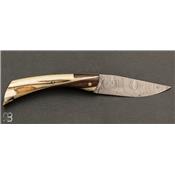 Couteau de poche Ardèchois de collection n°11 pulpe de mammouth et damas