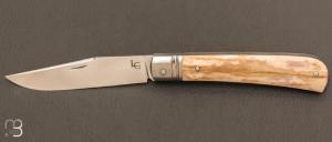 Couteau " Pice unique " par Laurent Gaillard - Bois de cerf teint et 14C28N