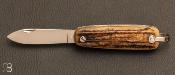 Couteau de poche Canif 1 pièce Bois de Cerf par J. Mongin