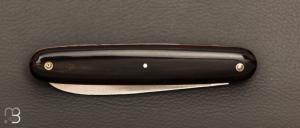    Navette de collection par Adrien Vautrin - Acier inoxydable 14c28N et corne de buffle