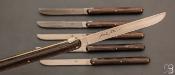 Coffret de 6 couteaux de table manches frêne densifié par Andrée Putman
