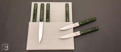 Coffret de 6 couteaux de table 9.47 manches Jade 