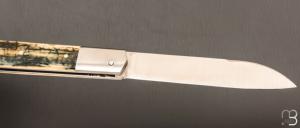    Couteau  "  Issoire  " par Maxime Surjous  - Ivoire de mammouth et lame en RWL34