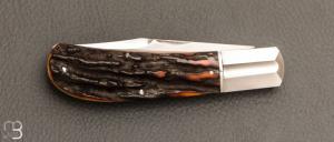    Couteau " Lanny's clip " de Ken Steigerwalt - Amber Stag et RWL34