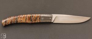   Couteau " P45 " de collection par Philippe Ricard - Molaire de mammouth / Damas et N690