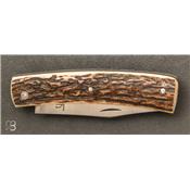 Couteau pliant Scagel Bois de cerf