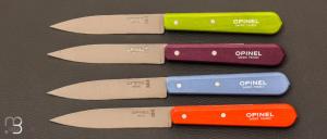 Coffret de 4 couteaux Opinel N°112 couleurs acidulées