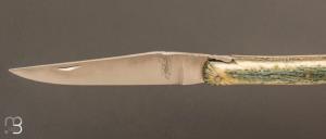 Couteau  "  Laguiole " custom de David Dauvillaire - Manche en os de chameau