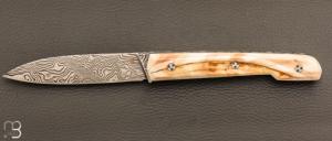  Couteau " Le Capi " par la Coutellerie Savignac - Ivoire de phacochère et lame en damasteel