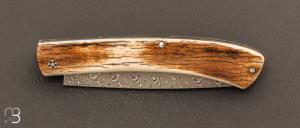 Couteau  "  Pastellier " par Thomas Fronteau - ivoire de mammouth et lame en damasteel