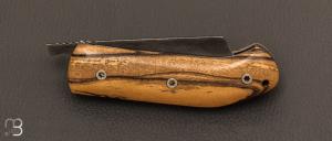    Couteau  "  Torpedo " liner-lock  par CITADEL - Ébène Royal et  N690Co Böhler