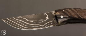 Couteau " Baby Dollar L"  corse lame Damas et corne de bélier de José Viale