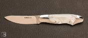 Mother of pearl fixed knife and ATS-34 by Dwight Towell